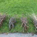 Brush Piles next to roadway