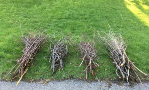 Brush Piles next to roadway