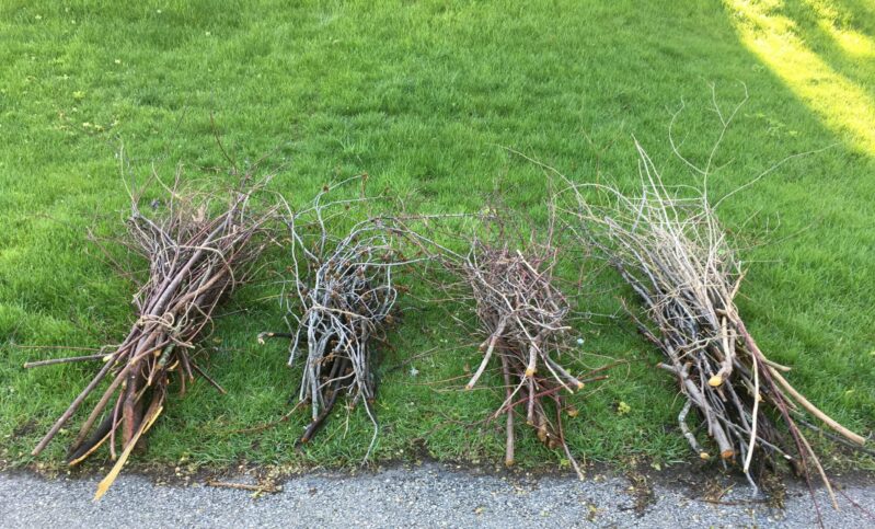 Brush Piles next to roadway